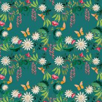 dsStella-DFN3834 TEAL